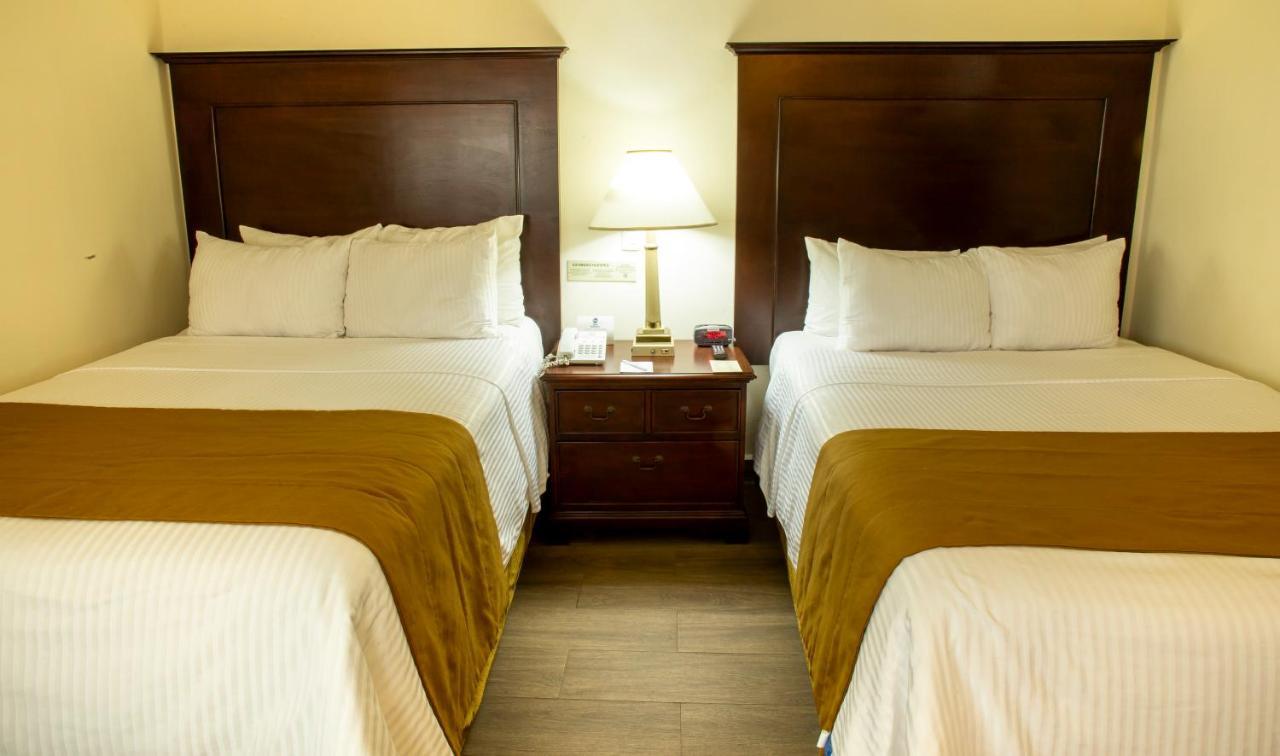 Hotel Plaza Calzada Monterrey Dış mekan fotoğraf